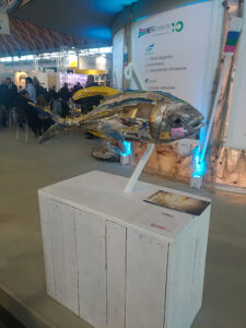 Economia Circolare Ecomondo 2019 | ASSOPLAST Economia Circolare Ecomondo 2019 | ASSOPLAST